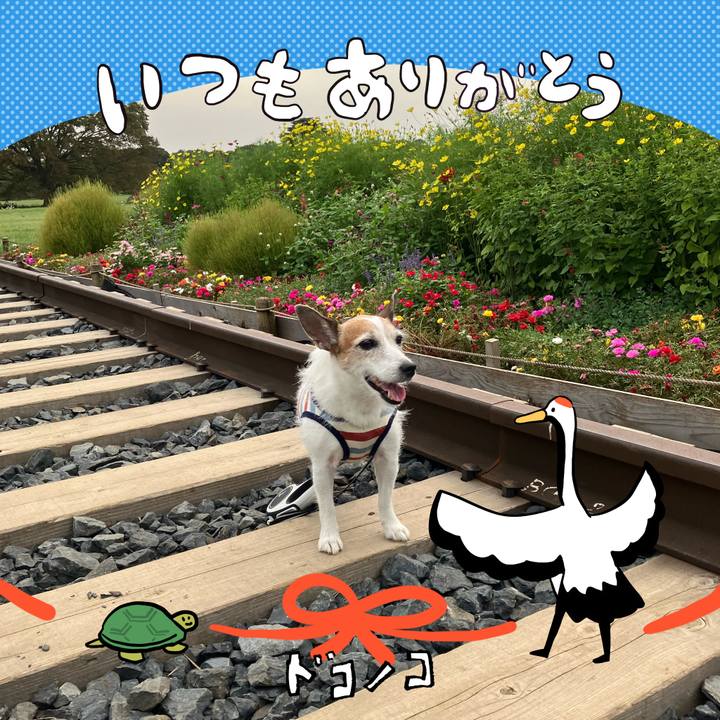 16b7ecc4 449f 418b 9829 cc6c22be779a 1726963900784