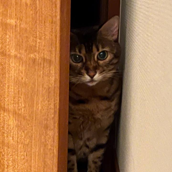 16b7f021 86b6 4765 a70d 28811535015f 1658357609598