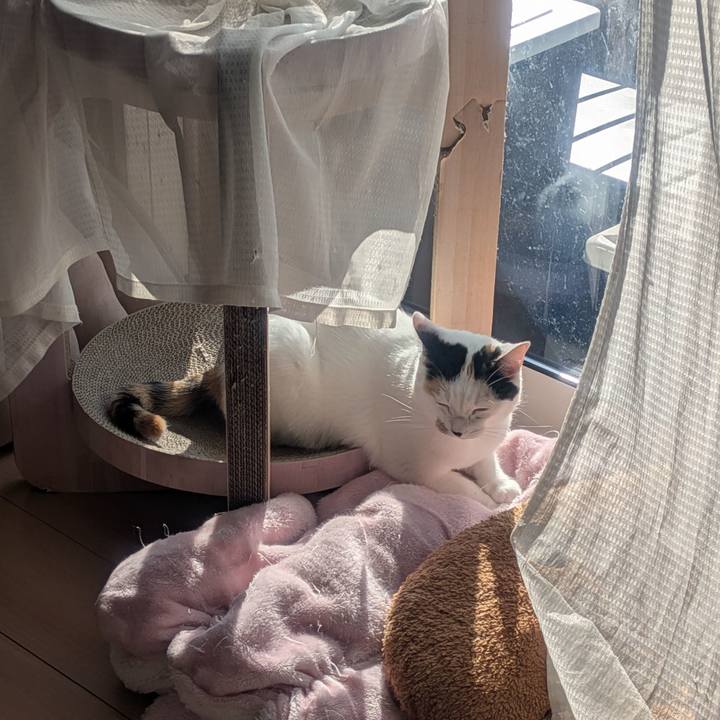 16b806a1 5b3f 45cb bdc8 f4fcc9b31f60 1761003125776