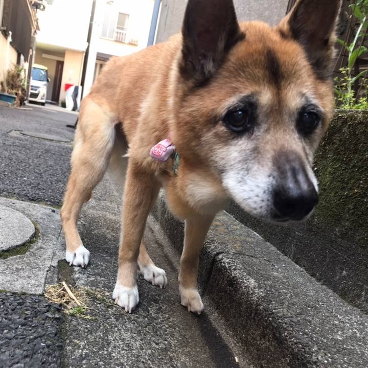 16b80b6a 5765 4e86 ba4a 21b52d7dae56 1558561365783