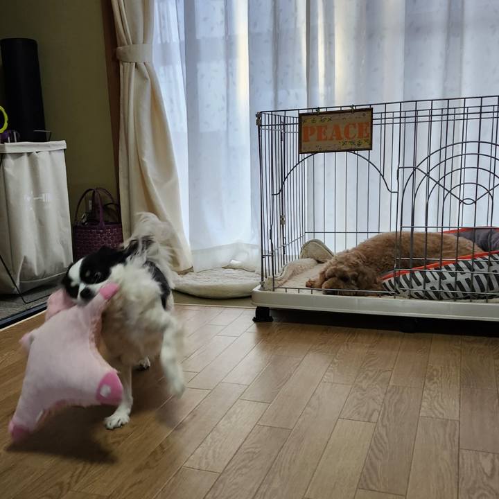 16b80f57 46a1 43ad b2b6 5ddfa2292c71 1770679475458