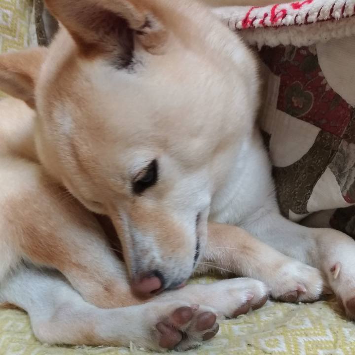 16b8230b b21e 4660 92f7 4f3a90cf9130 1576754525547