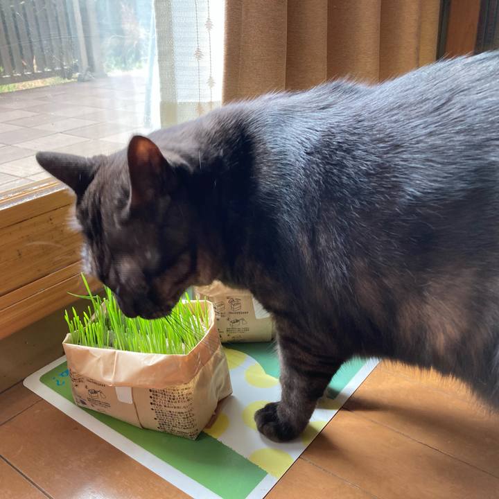 16b82dc7 0c05 41d7 a3a7 3c4ae56773de 1709765568457