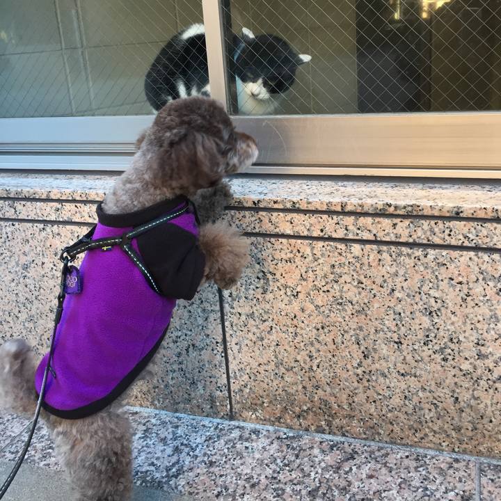 16b835a6 bd3d 4616 aaf4 97c3e3b4e35d 1516419220803