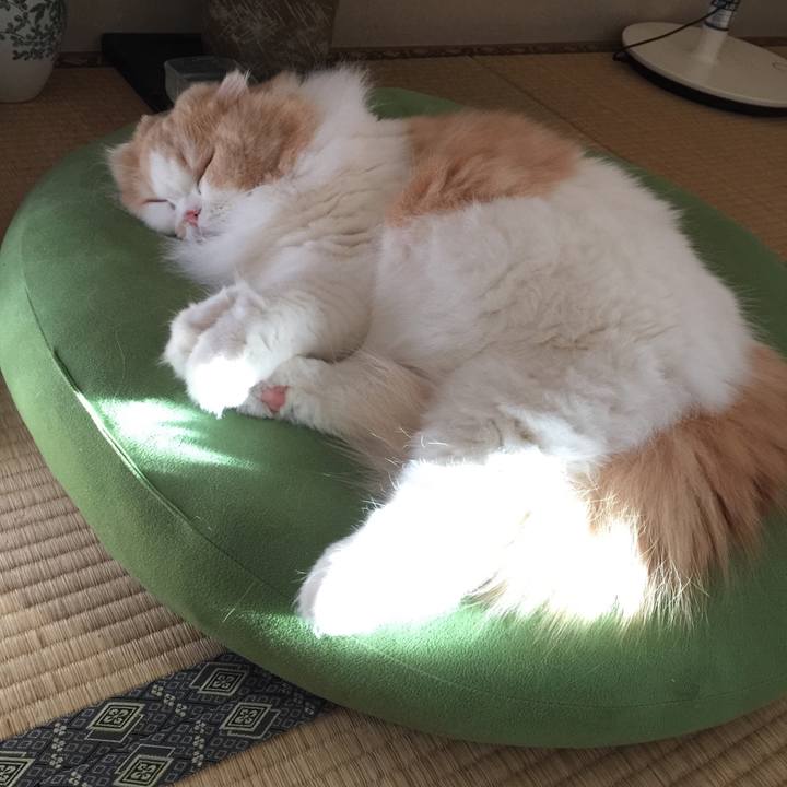 16b83b18 2f71 4402 aa7e 149579cb8ab3 1547423642127