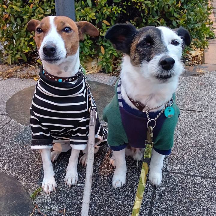 16b85caf 8002 4f7e a5a0 390d00b82f69 1673823365453