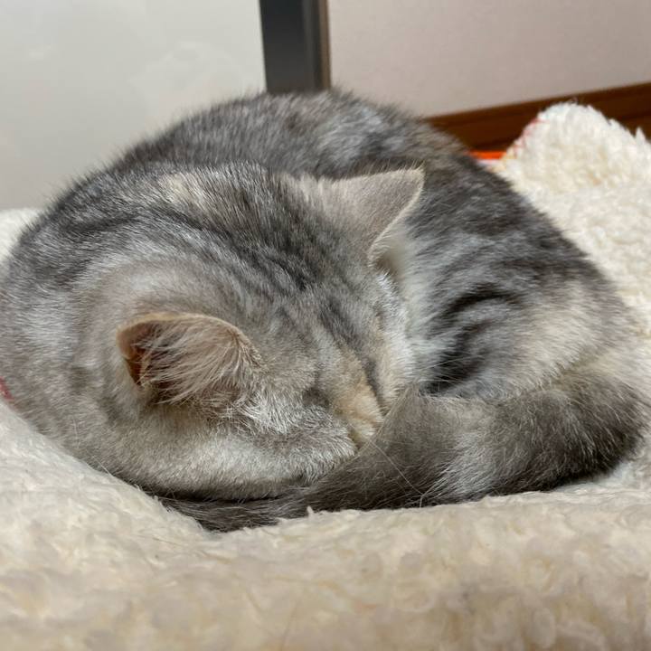 16b86221 ede9 41a6 b611 4acc977fa543 1738677061899