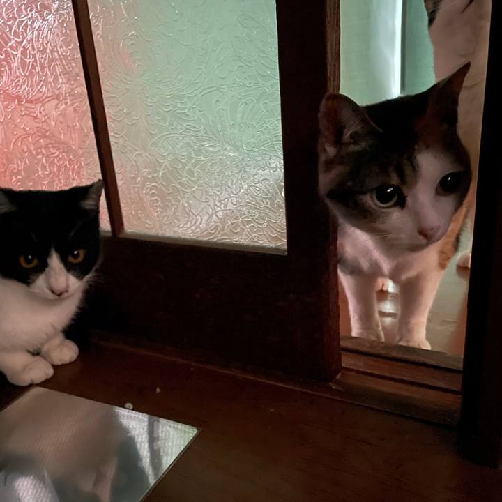 16b87704 4ec1 4e8a aa0b 536f7c07b205 1679471752071