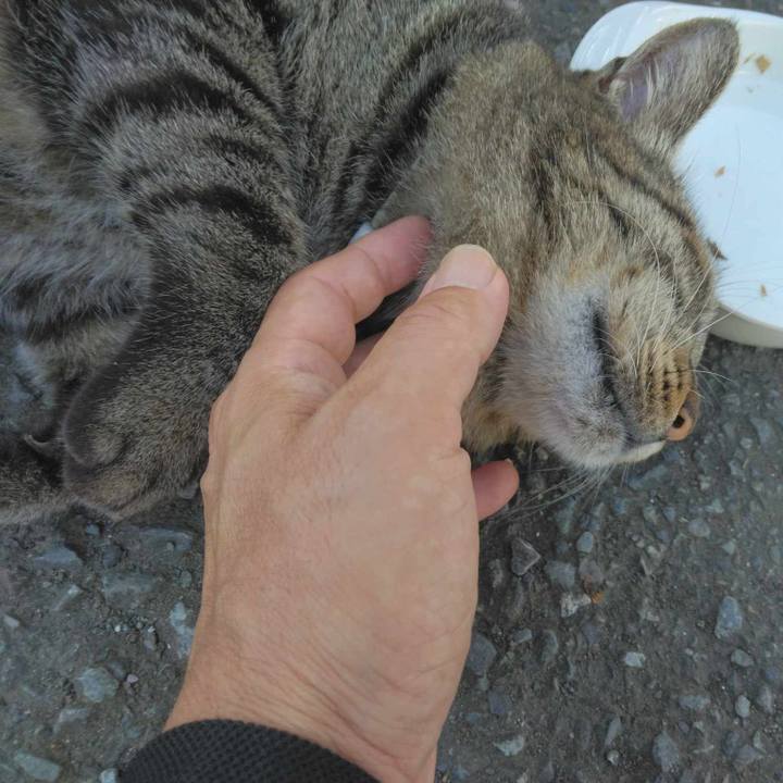 16b8894b 6717 406e 893d 26b9ff0d7cd6 1691153458632