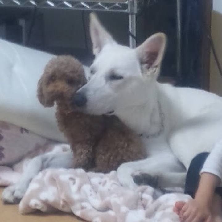 16b8bcf2 c5fb 407f 8783 e43b1b6dc29a 1571036535188