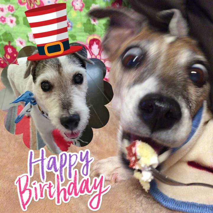 16b8cdff a5ee 4364 b866 849f27e00a69 1580365708456