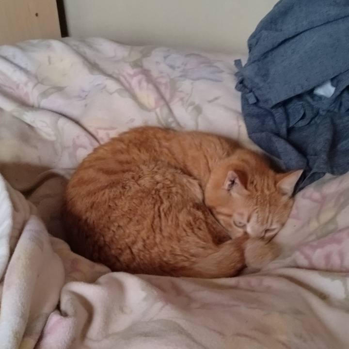 16b8d03b 56a7 4c4f 99c7 a7bba66f9a22 1711188425792