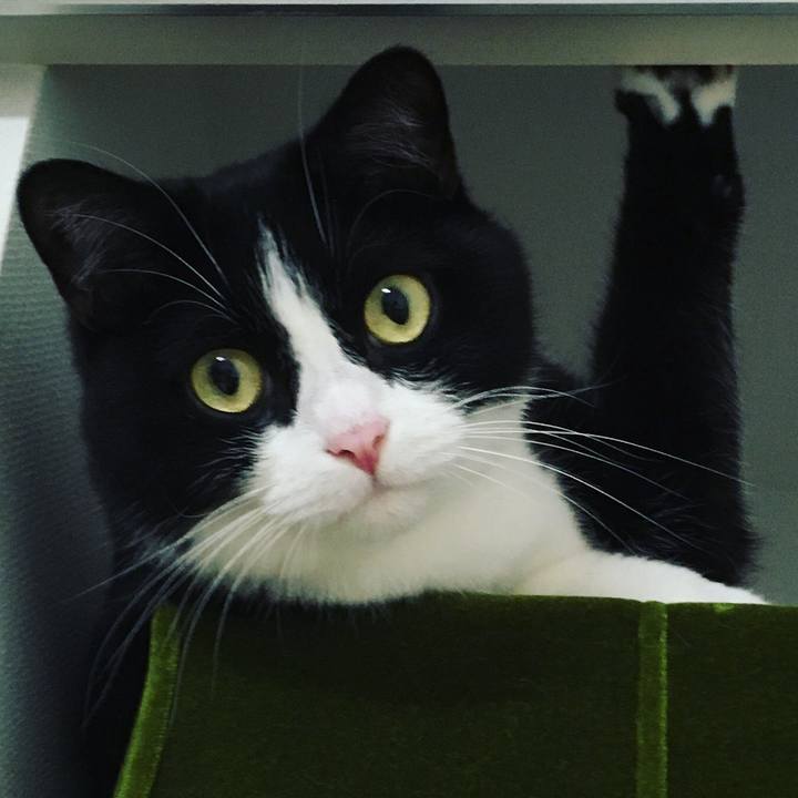 16b8ee23 7661 4292 8146 79a27b5a8e02 1629814574004