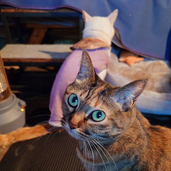 16b9042b f214 4402 8e92 7fe6113cf340 1773146586791