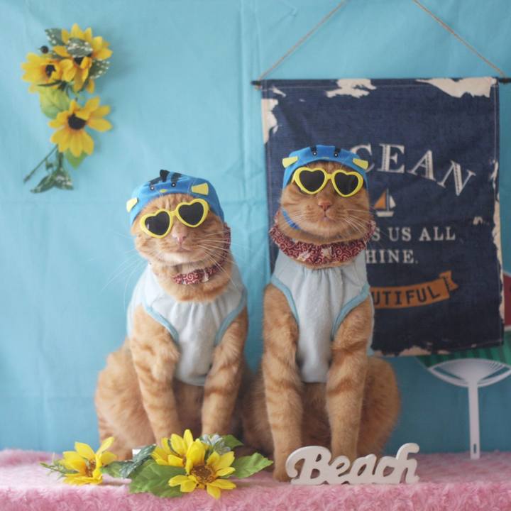 16b90e83 3df3 4157 951e bb5d3f52c30f 1723605088681