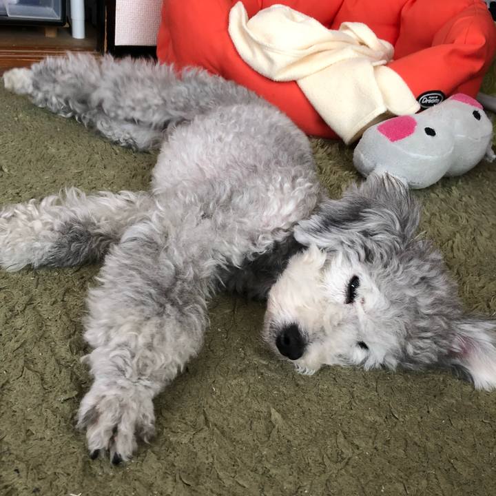 16b94465 af4c 49d1 8a03 47f1f0bdda7f 1525410730857