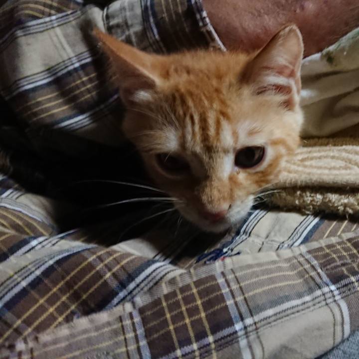 16b98981 3995 4e09 865f dbaad2c03359 1631046308456