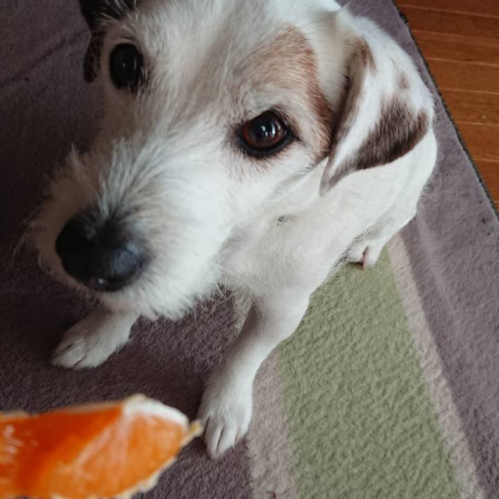 16b9a7b2 2c7d 4526 b908 4b6abe5c9ec2 1549928447497