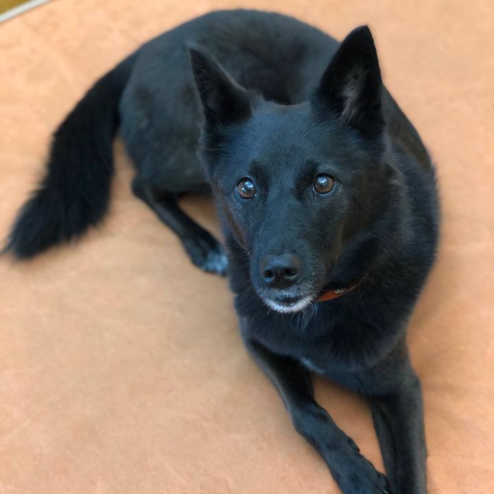 16b9c462 1e4a 4ad2 b013 7e0686e61635 1632096880713