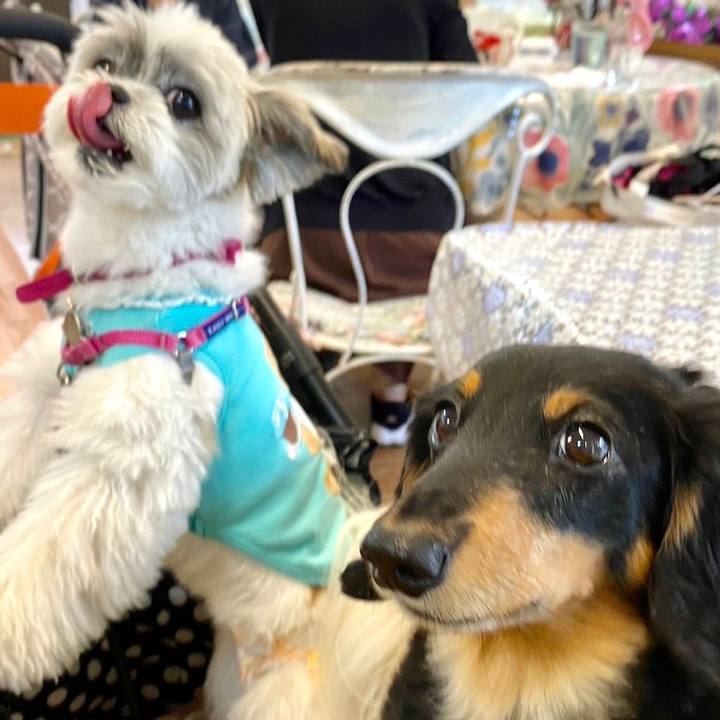 16b9cc5b 6477 49b7 8176 bf9d028590e8 1686561491382