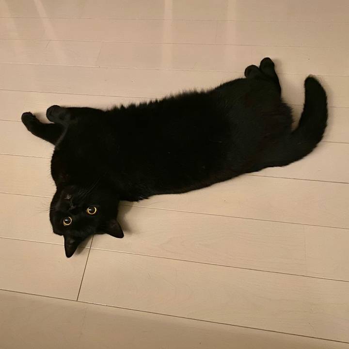 16b9cf92 e63f 4335 a034 505b506e152e 1689769477844