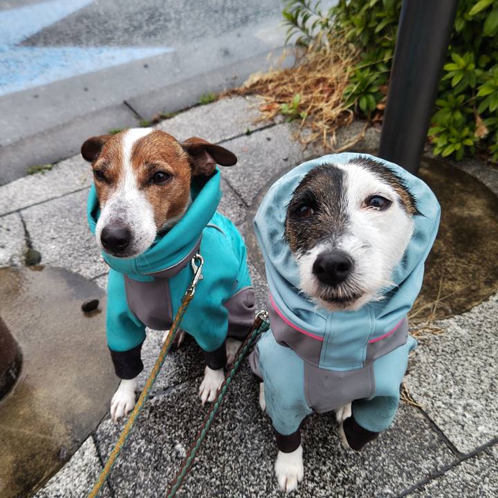 16b9e530 46cd 4586 be68 81b865ed70a0 1742085266750