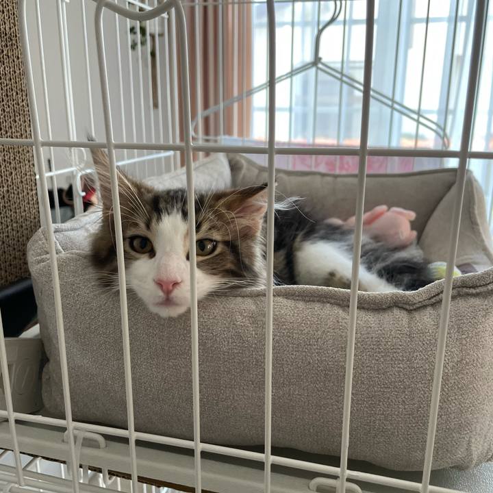 16ba0803 c8fe 4be9 84a4 9536743cc85d 1633152267135