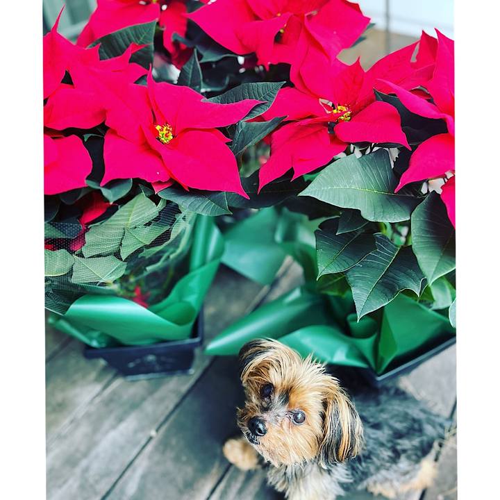 16ba0fe3 8098 47c8 a848 ec986ecc6119 1669421397889