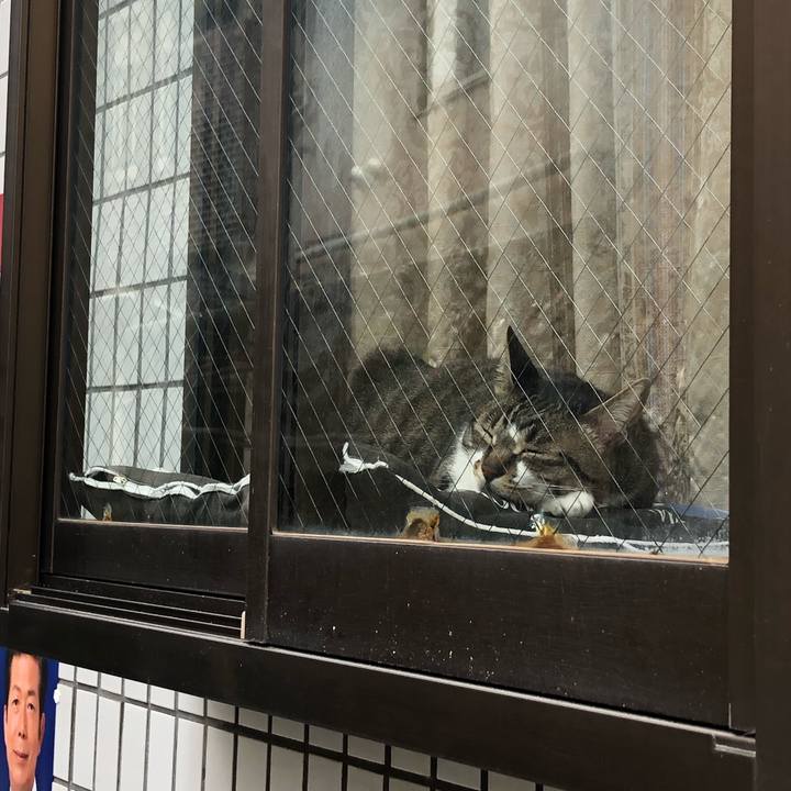 16ba26ea 88af 4709 8eec 78b21f77ee28 1646731703107