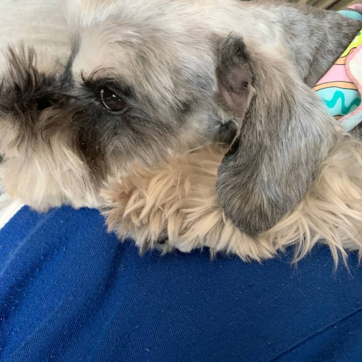 16ba2c78 5038 4593 801b b95ea13f76d8 1612663601912