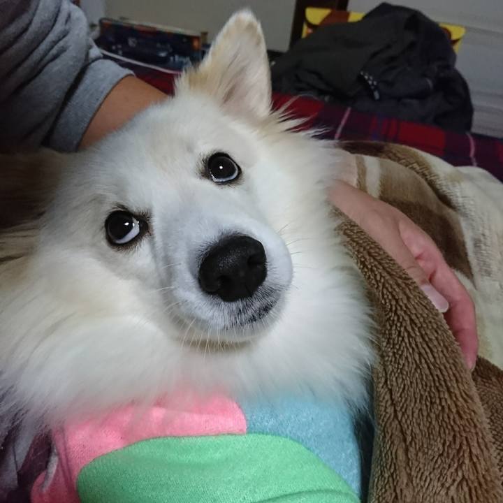 16ba4541 478d 4043 ab1a 41f850491a9c 1509359615371