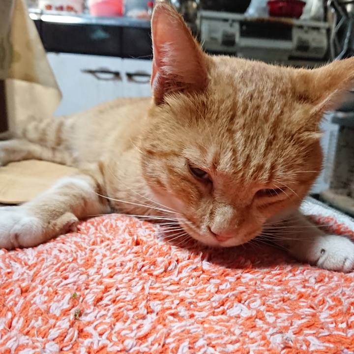 16ba9909 d86f 4dcb 87c7 0a9ecf3b902e 1568160944259