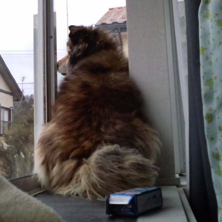 16ba9dad 9053 41b9 86c0 d832ce4fdd5c 1609081772417