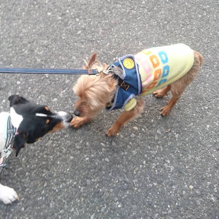 16baaaee f65d 4df6 8300 a71f82357e9a 1623301505568