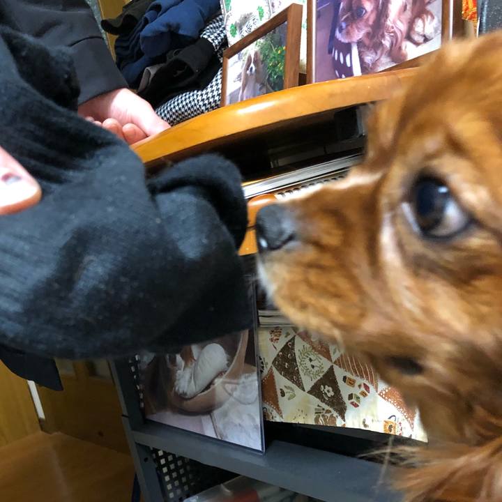 16bb00cf 9bb7 40a7 a002 c094d336d759 1547504845591