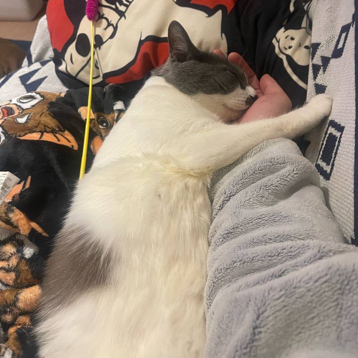 16bb229a e46c 4df7 b34c d1521f21ad9b 1743772184122