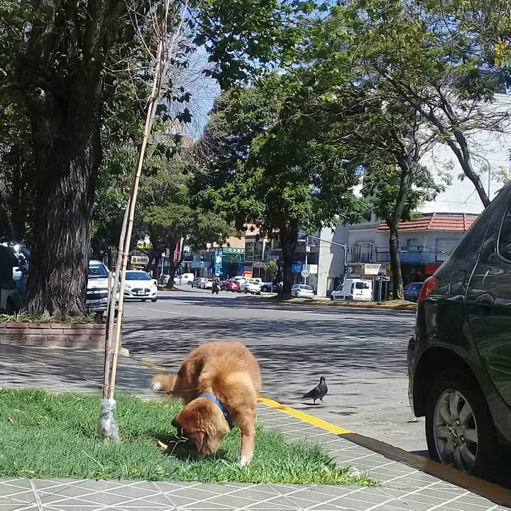 16bb2593 a498 420e a6ee 4977f013a054 1676486922433
