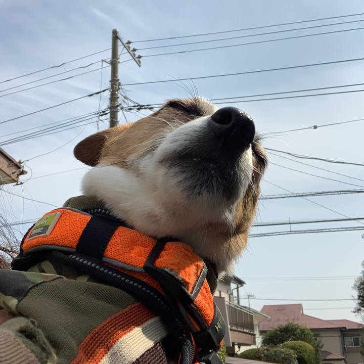 16bb31d8 87f4 4c6b ada9 a5ddcd692691 1647134747307