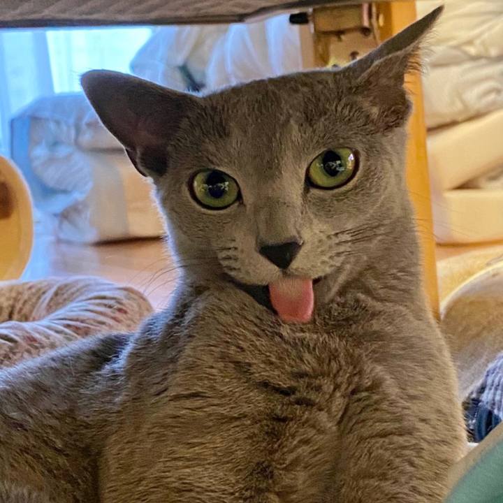 16bb6bd2 4b1a 46b3 a340 1a57c4ae0318 1624795192825