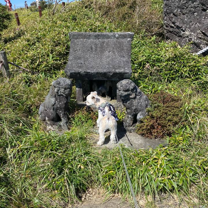 16bb80f6 b007 4d59 a1f1 a069d2f71e6a 1633692667906