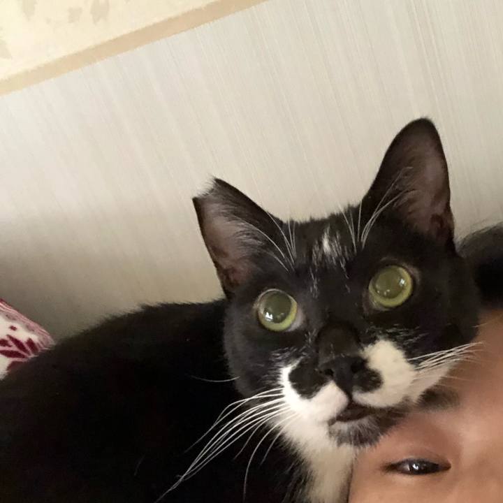 16bba33d 13cc 433c 81c6 776c7efd6e55 1550684171128