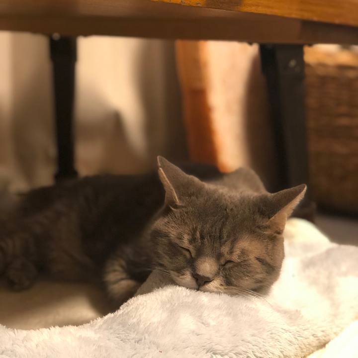 16bba67c 4b41 4473 b30b f37fe88244ad 1569592418333