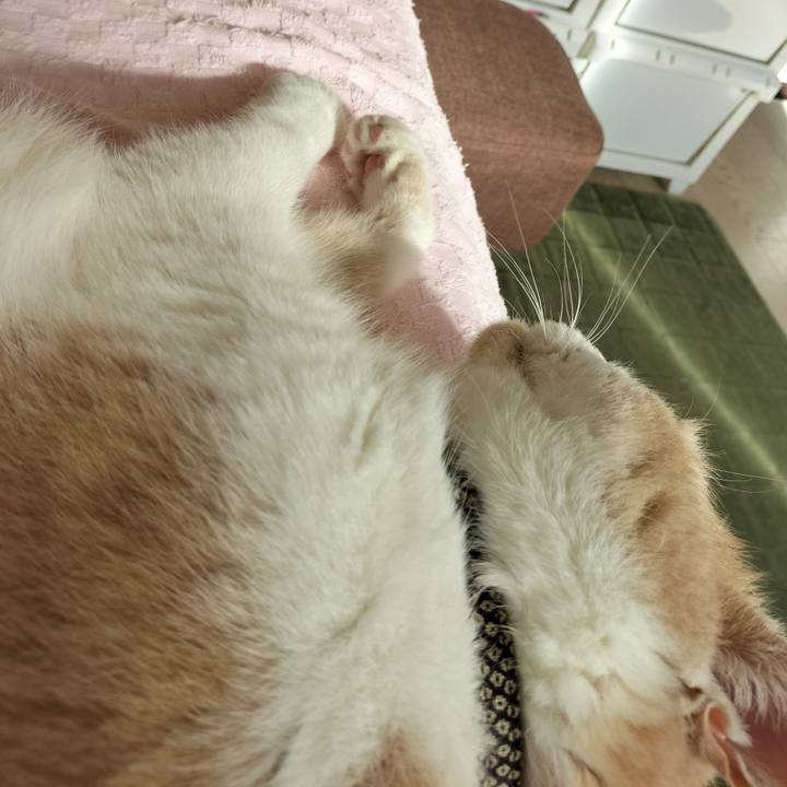 16bbad23 b371 4694 864f a94e4a52ae5f 1632007154401