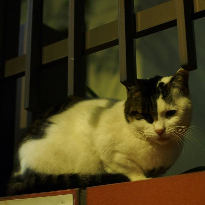 16bbc907 fb30 42a7 adc7 b2369b81ad00 1540564710603