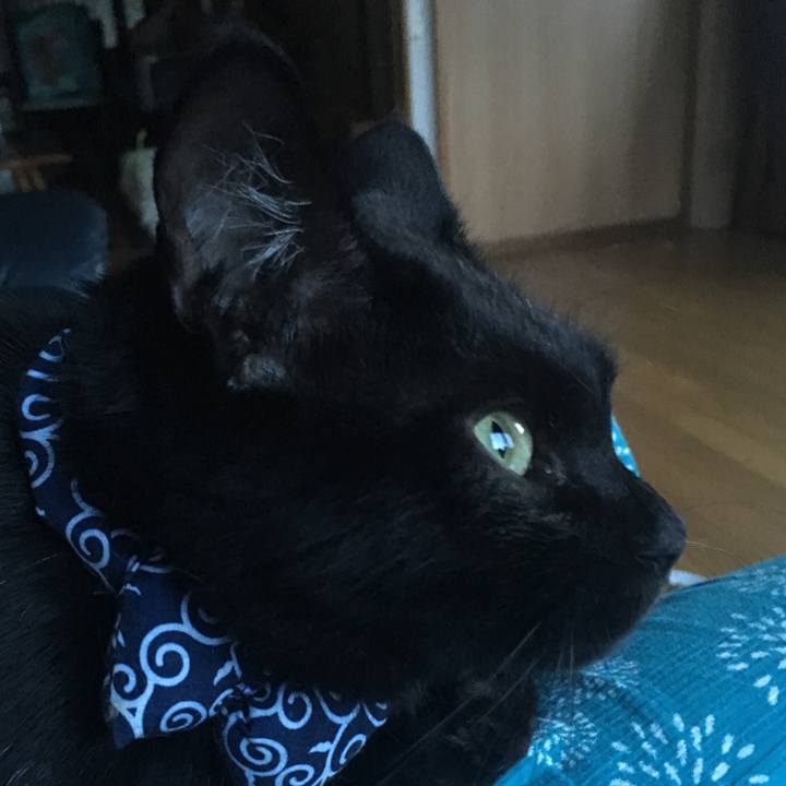 16bc12e9 f766 45c7 820f ed1d91612663 1535879485724