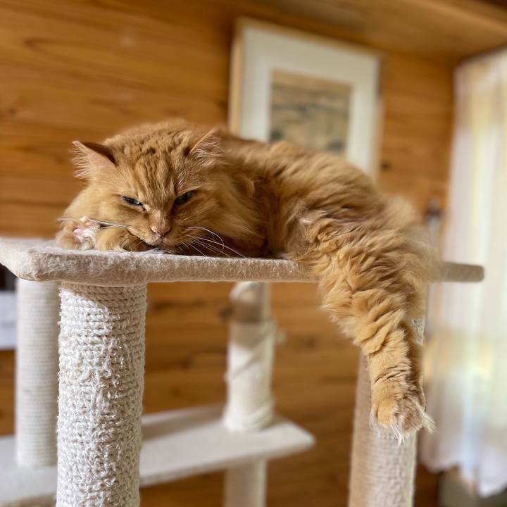 16bc16a5 5b04 4f28 aad7 aa8dd3f68679 1750197407880