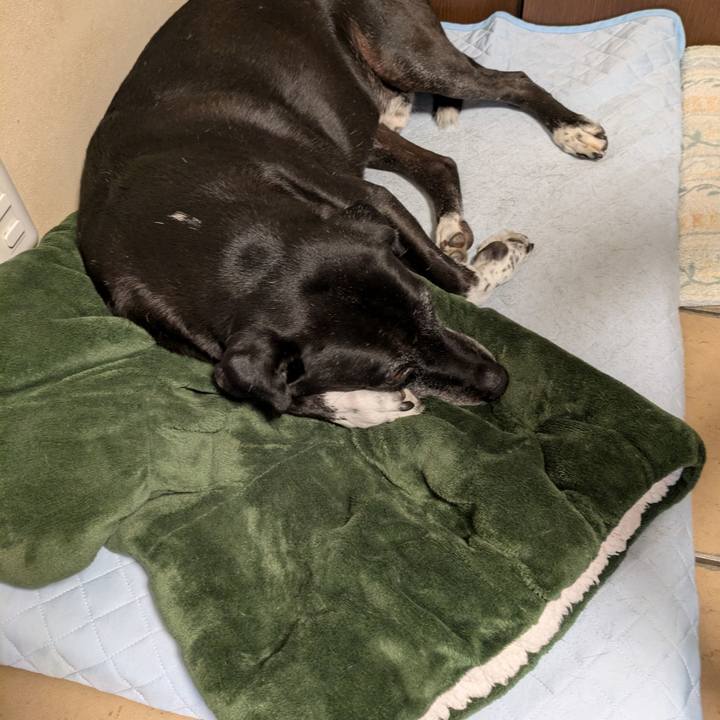 16bc4cfc e7b1 4b31 995c 3175d9de2b2b 1755909027175