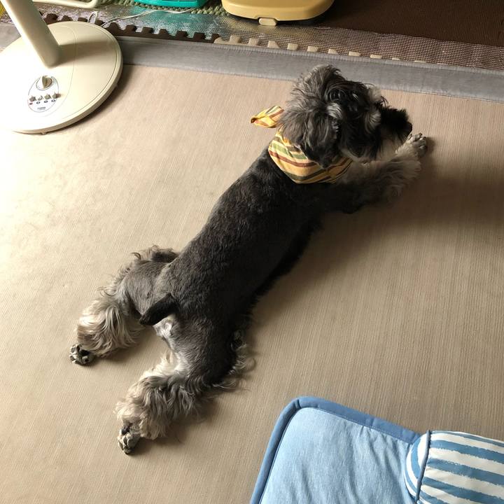 16bc6b95 04e5 4f43 995b ef8dbf5fbf8b 1658043594330