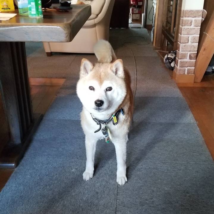 16bca2f7 e115 4a01 9de7 d3b0adb01014 1657181758803