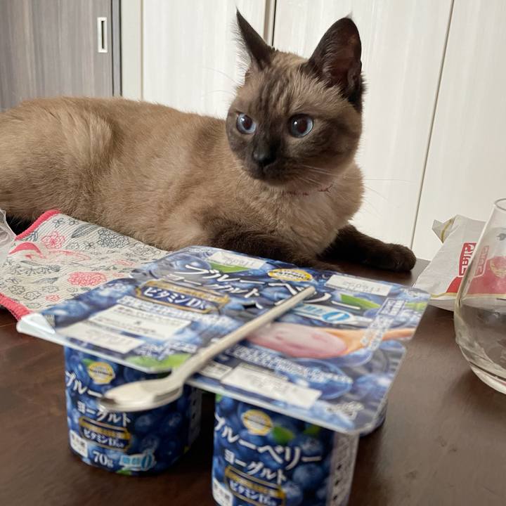 16bcafb5 480a 4e10 81e6 84e123b2e225 1755211729757